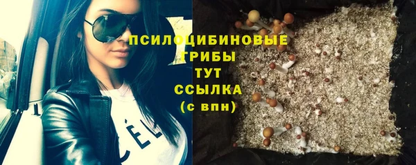 твердый Алексеевка