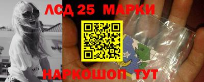 a pvp Кингисепп