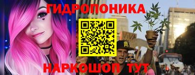 бошки Кимры