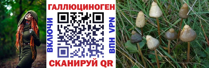 нарко площадка как зайти  Сунжа  Галлюциногенные грибы MAGIC MUSHROOMS 