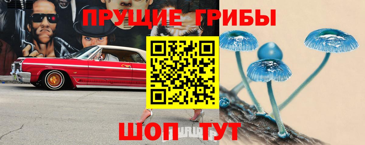 Галлюциногенные грибы мухоморы Сунжа